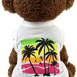 Pet Hawaiian Beach Vest