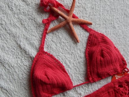 Beauty and the Beach Crochet Bikini Top with Starfish